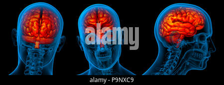 3D-Rendering medizinischen Abbildung des Gehirns 3d Stockfoto