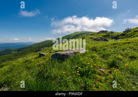 Felsen auf grasigen Hang des Berges. gelber Löwenzahn auf dem Weg bergauf in den Himmel mit Fluffy Clouds. schönen Sommer Landschaft. Tracking Stockfoto