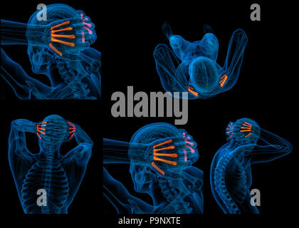 3D-Rendering von metacarpal Stockfoto