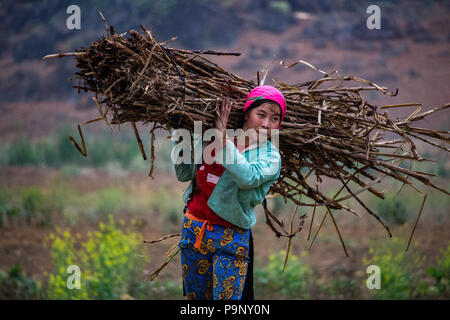 Ha Giang, Vietnam - 17. März 2018: Weibliche Landarbeiter Transport von Holz in einer abgelegenen Gegend von Nord Vietnam Stockfoto