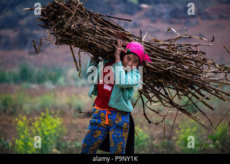 Ha Giang, Vietnam - 17. März 2018: Weibliche Landarbeiter Transport von Holz in einer abgelegenen Gegend von Nord Vietnam Stockfoto