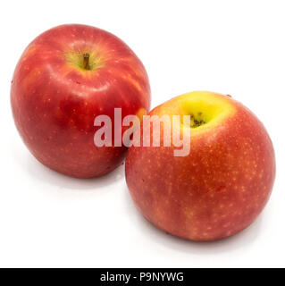 Zwei ganze rote Kanzi Äpfel auf weißem Hintergrund Stockfoto
