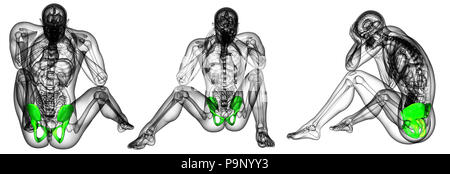 3D Rendering Illustration des Beckens Stockfoto