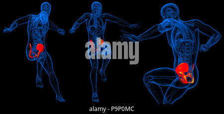 3D Rendering Illustration des Beckens Stockfoto