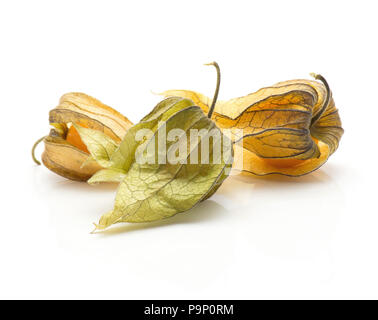 Drei physalis auf weißem Hintergrund Stockfoto