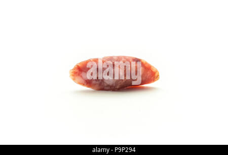 Ein ungarischer trockene Würste Salami geschnitten Stück auf weißem Hintergrund geräuchert in Naturdarm gemischt Schwein und Rind isoliert Stockfoto
