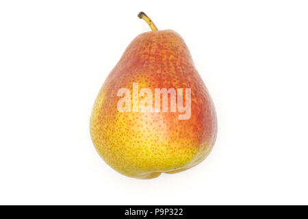 Eine ganze Frische rote Birne forelle Vielfalt flatlay isoliert auf weißem Stockfoto