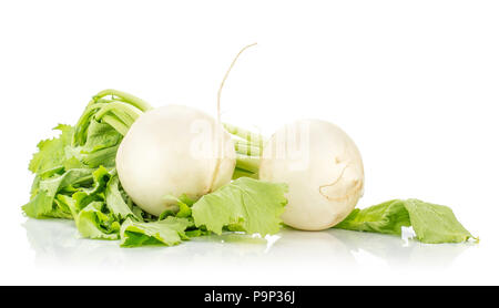 Zwei weißen Rettich Zwiebeln mit grünen Blättern auf weißem Hintergrund Stockfoto