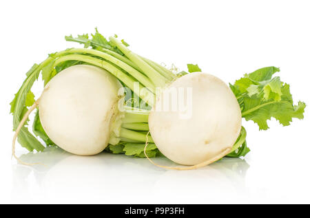 Zwei weißen Rettich Zwiebeln mit Blättern auf weißem Hintergrund Stockfoto