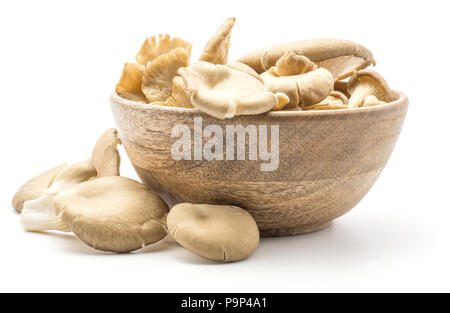 Austernpilzen (Pleurotus ostreatus Pilz) in eine hölzerne Schüssel auf weißem Hintergrund Roh ungekocht isoliert Stockfoto