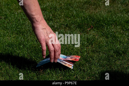 Von Hand gepflückt, Geld aus dem Boden. Schweizer Währung. Gras Boden Schweizer Franken Stockfoto