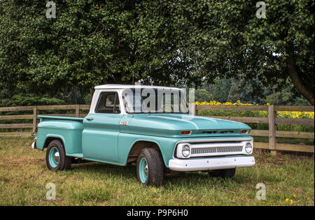 Ein vintage Truck vor einem Feld mit Sonnenblumen sitzen Stockfoto