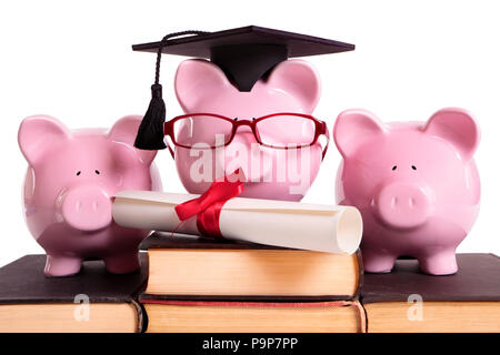 Student Absolvent Graduierung Konzept, Bildung Erfolg, Lehre, Studium, sparschwein mit Brille Stockfoto