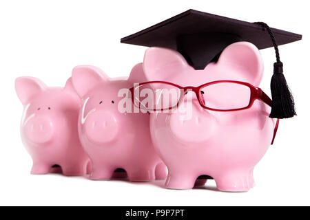 Piggy Bank student Absolvent Graduierung Konzept, Bildung Erfolg, Lehre, Studium, sparschwein mit Brille Stockfoto