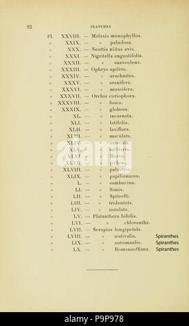 47 4 Index 2 Album des orchidées de l'Europe centrale et Septentrional (1899) Stockfoto