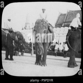 176 Bangkok - 3 Männer auf 3 die Heilige weiße Elefanten; palace Wand im Hintergrund LCCN 2004707847 Stockfoto
