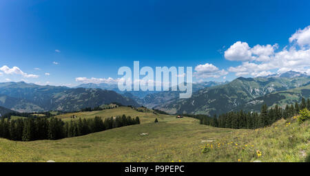 Grüne Wiesen und großen Berg auf die Landschaft in der Schweiz oberhalb Klosters Stockfoto