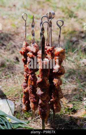 Bereit Shish Kebab am Spieß mit Gruenen und Gurken Stockfoto