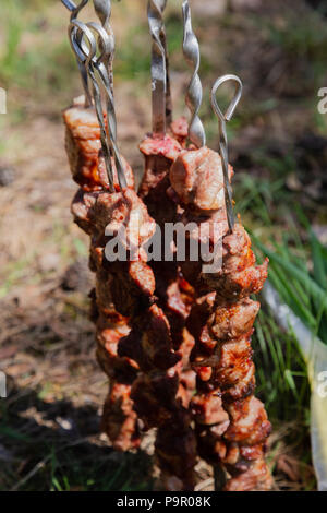 Bereit Shish Kebab am Spieß mit Gruenen und Gurken Stockfoto