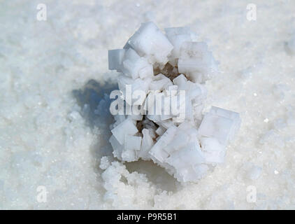 In der Nähe der natürlichen Salzkristalle an der Salar de Uyuni Salzebenen, Potosi, Bolivien, Südamerika Stockfoto