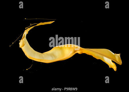 Bunte Farbtupfer in abstrakter Form, auf schwarzem Hintergrund isoliert. Stockfoto