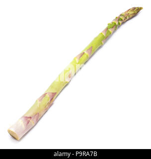 Ein rohes Spargel auf weißem Hintergrund Stockfoto