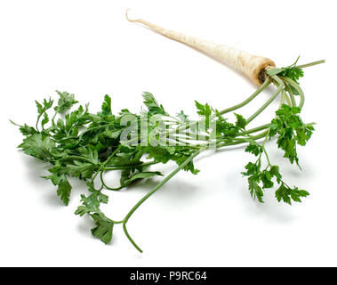 Eine ganze frische Petersilie Wurzel auf weißem Hintergrund Stockfoto