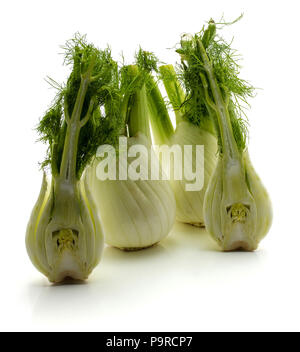 Frische Florenz Fenchel auf weißem Hintergrund zwei Glühlampen zwei Hälften getrennt Stockfoto