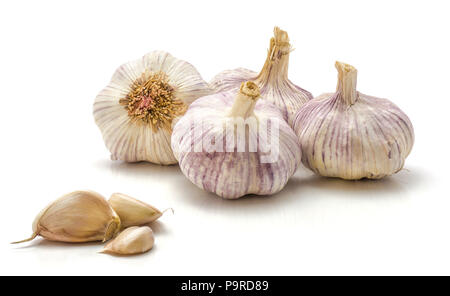 Vier Knoblauch Zwiebeln und Knoblauchzehen auf weißem Hintergrund Stockfoto