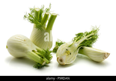 In Scheiben geschnitten Florenz Fenchel auf weißem Hintergrund zwei ganze Lampen zwei frische Hälften getrennt Stockfoto