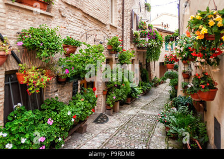 Spello, Umbrien - Italien Stockfoto