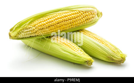 Gruppe von drei frischen Mais Ohren auf weißem Hintergrund Stockfoto