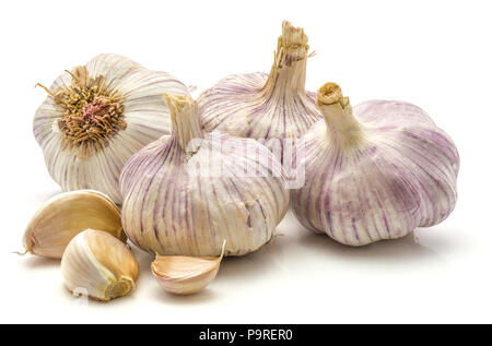 Knoblauch auf weißem Hintergrund vier ganze Lampen und drei Zehen isoliert Stockfoto