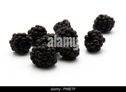 Brombeeren isoliert auf weißem Hintergrund Stockfoto