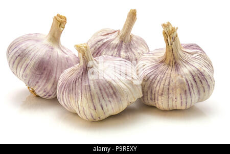 Knoblauch auf weißem Hintergrund vier ganze Lampen isoliert Stockfoto