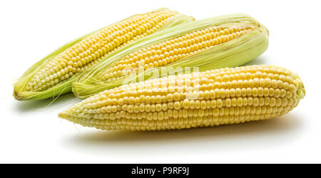 Gruppe von drei frischen Mais Ohren auf weißem Hintergrund Stockfoto