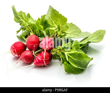 Gruppe von fünf ganzen roten Rettich mit frischen grünen Blätter auf weißem Hintergrund Stockfoto