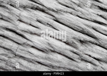 Eiche Baum Rinde Abstraktionen an Årvold im See Vansjø in Østfold, Norwegen. Vansjø ist ein Teil des Wassers, das System namens Morsavassdraget. Stockfoto