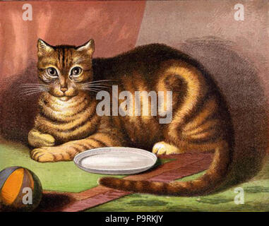 . (Nach reusableart Anfrage gelöscht.). ca. 1872 252 braune Katze Zeichnung Stockfoto