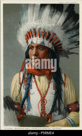 256 Büffel Kalb, Jicarilla Apache, Arizona. Fred Harvey Serie. (NBY) 21892 Stockfoto