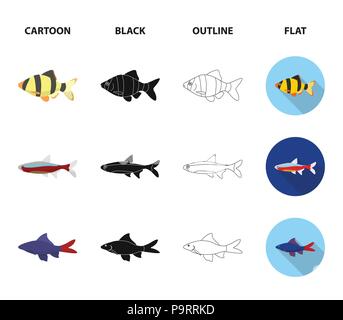 Angelfish, Common, Barbus, neon. Fisch set Sammlung Icons im Cartoon, schwarz, Outline, flacher Stil vektor Symbol lieferbar Abbildung: Stock Vektor