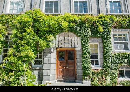 Dublin, Jul 1: Schule der Botanik in Trinity College am Jun 1, 2018 in Dublin, Irland Stockfoto