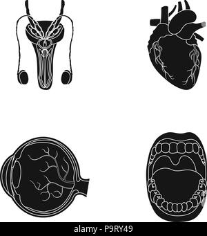 Anatomie. Medizin, Apple, Schwarz, Buchse, Sammlung, Augen, Herz, menschliche, Symbol, Krankheit, Illustration, isoliert, Leben, Logo, männlich, Mund, oral, Orgel, Reproduktion, Satz, Zeichen, Symbol, System, Zähne, Zunge, Vektor-, Web-, Vektor, Vektoren, Stock Vektor