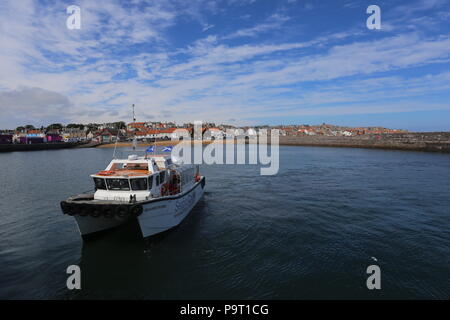 Seafari Explorer Abfahrt Anstruther Fife Schottland Juli 2018 Stockfoto