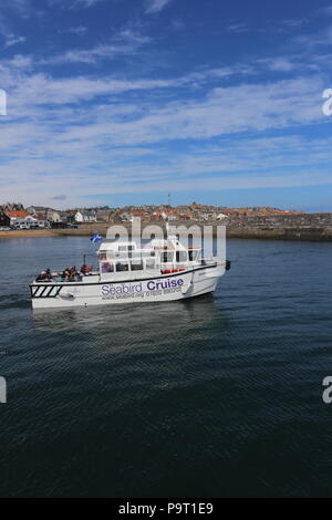 Seafari Explorer Abfahrt Anstruther Fife Schottland Juli 2018 Stockfoto