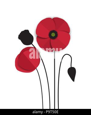 Vector rot romantisch Mohn Blumen und Gras Stock Vektor