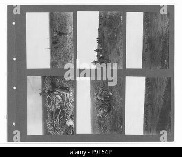 274 kanadischen Offizielle Krieg Fotos (BL l. r.233.b57. v2 f058 r) Stockfoto