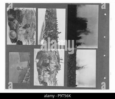 274 kanadischen Offizielle Krieg Fotos (BL l. r.233.b57. v2 f079 r) Stockfoto