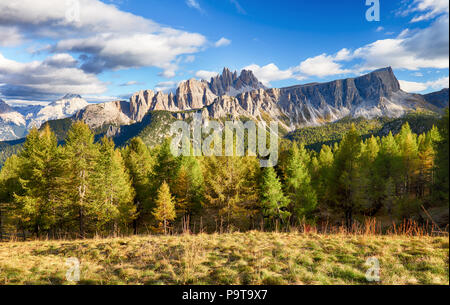 Schönen Wald Berge in den Alpen Stockfoto
