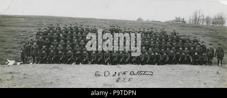 341 Unternehmen D 25 Bataillon Canadian Expeditionary Force (HS 85-10 -29979) Stockfoto